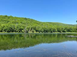 Long Pond Views